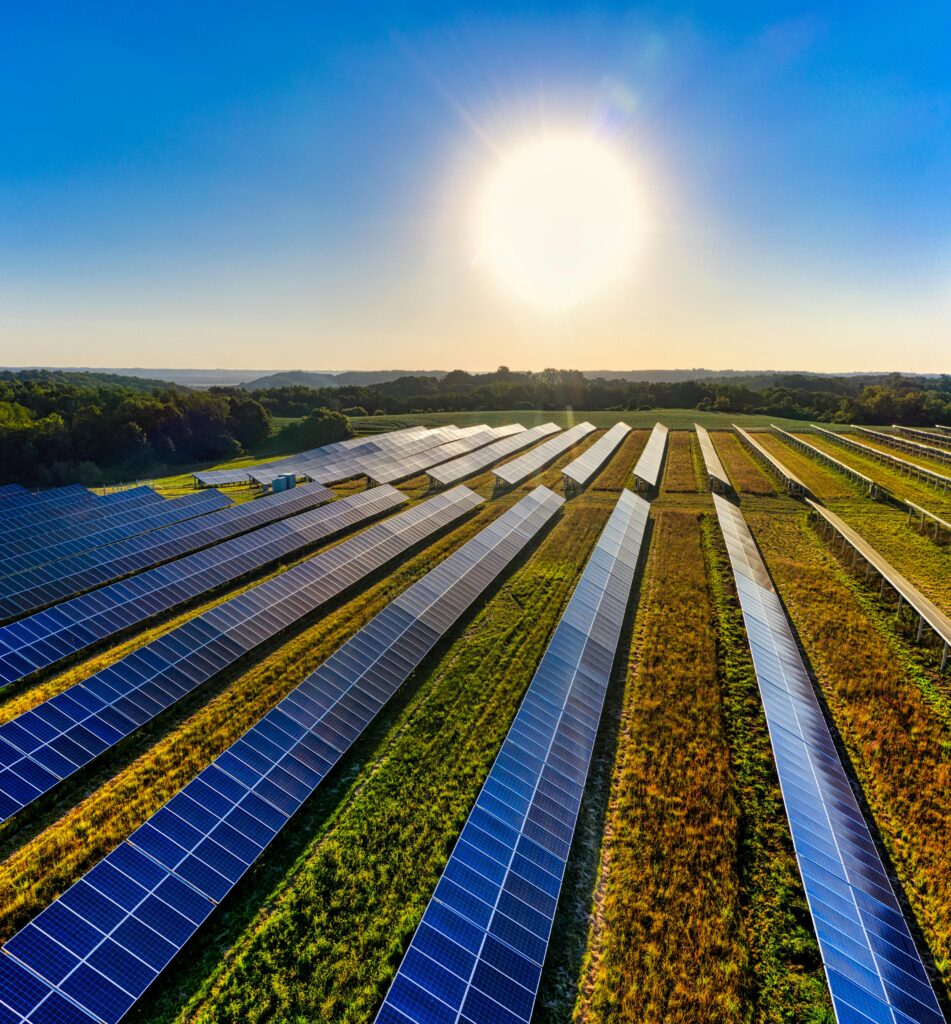 Solar farm in a green field in the early morning,